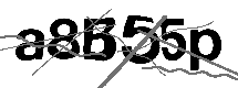 Loading CAPTCHA Image...